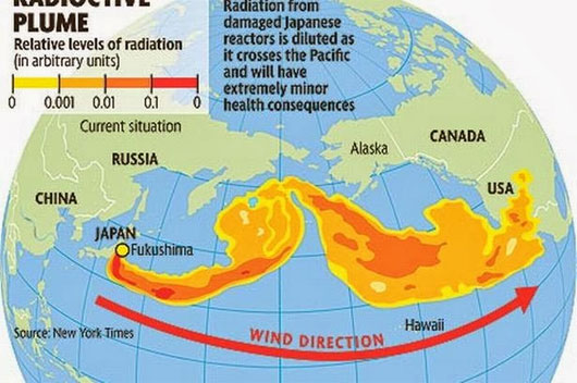 Picture 1 of Fukushima radiation to the North American coast
