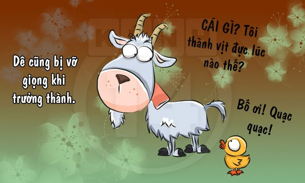 Picture 11 of Fun fact about goat species makes you laugh without picking up your mouth