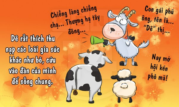 Picture 12 of Fun fact about goat species makes you laugh without picking up your mouth