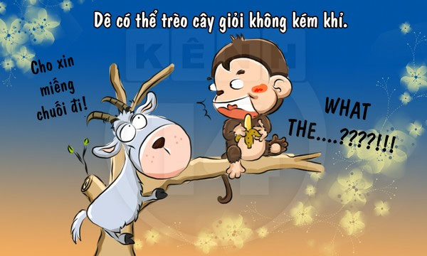 Picture 8 of Fun fact about goat species makes you laugh without picking up your mouth