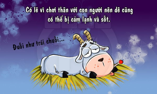 Picture 9 of Fun fact about goat species makes you laugh without picking up your mouth