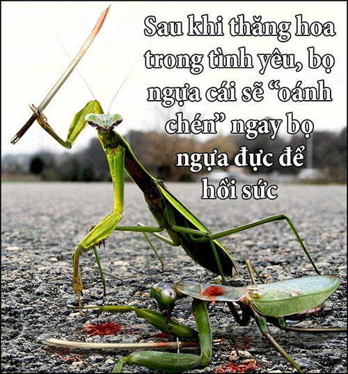 Picture 6 of Fun fact about love story