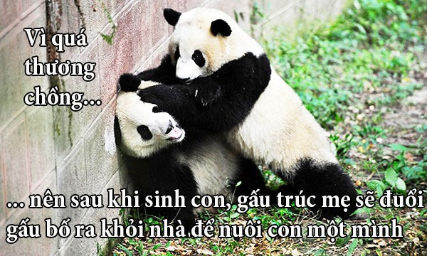 Picture 7 of Fun fact about love story
