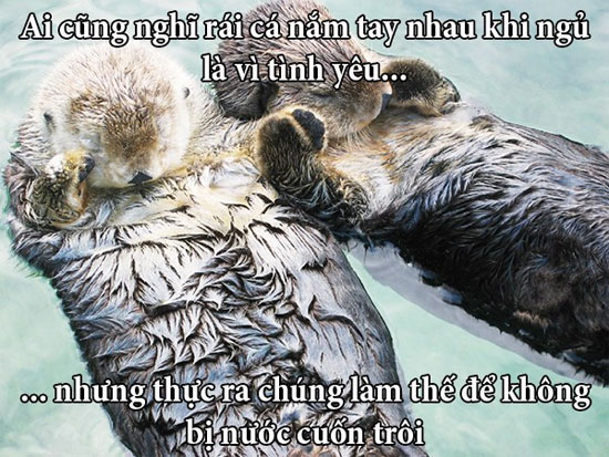 Picture 8 of Fun fact about love story