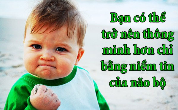 Picture 6 of Fun fact Brain damage reveals the truth about intelligence