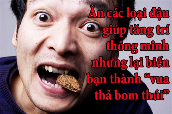 Picture 7 of Fun fact Brain damage reveals the truth about intelligence
