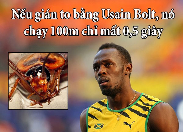 Picture 2 of Fun fact makes you realize the real person 'weak'