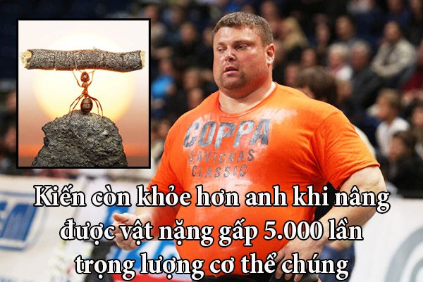 Picture 6 of Fun fact makes you realize the real person 'weak'