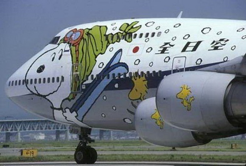 Picture 11 of Funny aircraft