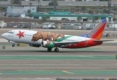 Picture 15 of Funny aircraft