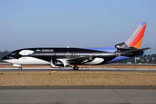 Picture 21 of Funny aircraft
