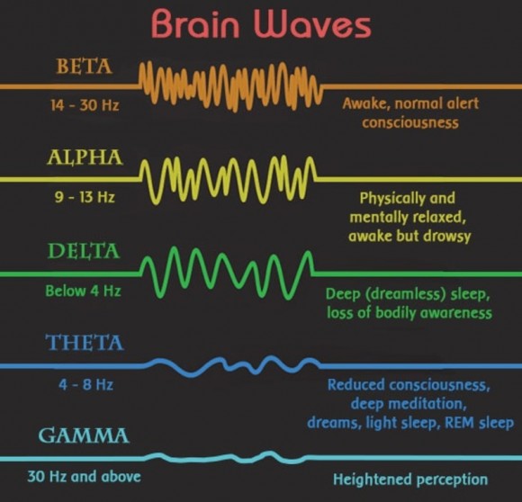 Picture 1 of Gamma waves and the origin of breakthrough ideas