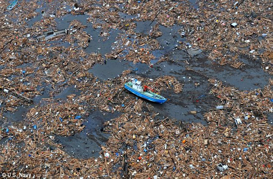 Picture 4 of Garbage after tsunami in Japan drifted to America