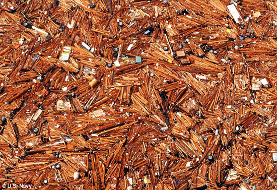 Picture 5 of Garbage after tsunami in Japan drifted to America