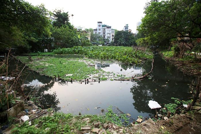 Picture 9 of Garbage and organisms expose belly on the surface of Hanoi lake