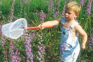 Picture 1 of Gardening helps fight childhood obesity