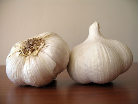 Picture 1 of Garlic against infection in children