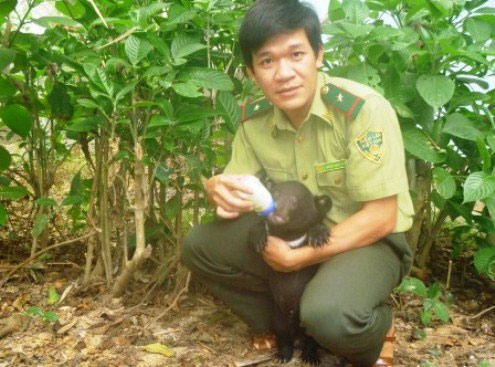 Picture 1 of Gaur, horse bear appeared in Thanh Hoa forest