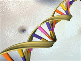 Picture 1 of Gene changes increase the risk of cancer