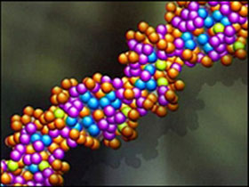 Picture 1 of Gene - the causative agent of schizophrenia