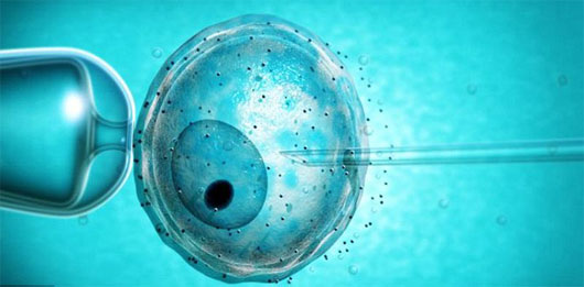Picture 1 of Genetic sources affect IVF methods