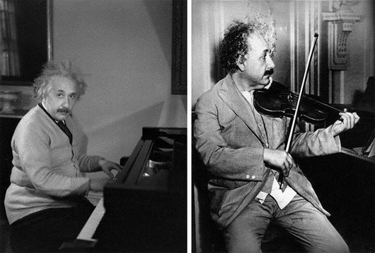 Picture 2 of Genius Einstein - 'Solitary wolf'