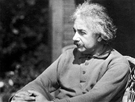 Picture 3 of Genius Einstein - 'Solitary wolf'