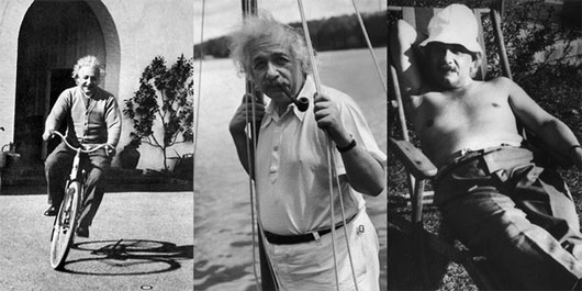 Picture 4 of Genius Einstein - 'Solitary wolf'
