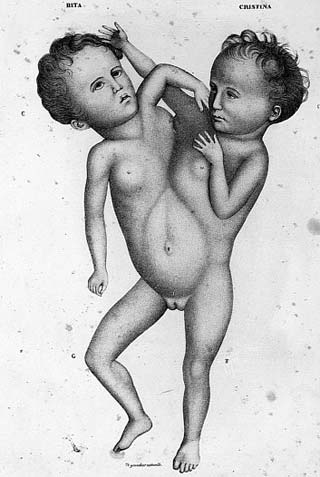 Geoffroy Saint - Hilaire - Pioneer biologist images 2