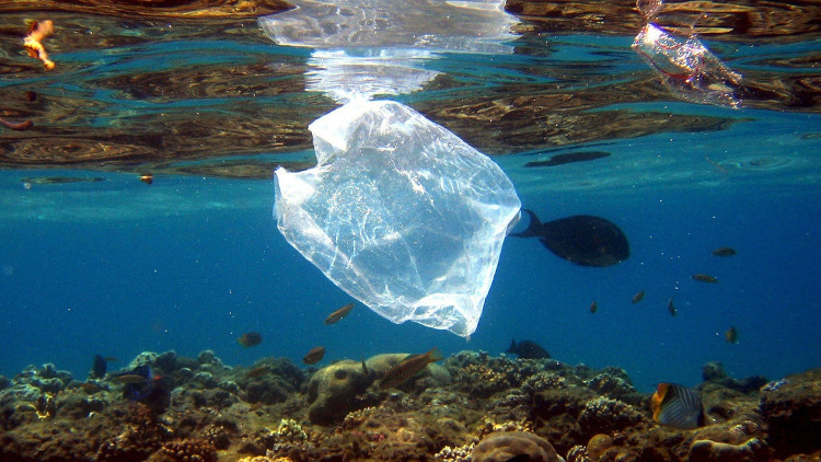 Picture 1 of Germany will collect plastic waste on the sea