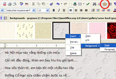 Picture 4 of Get familiar with the OpenOffice editing program