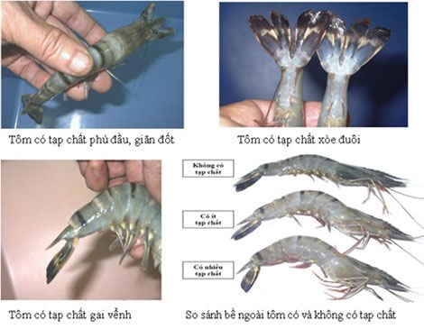 Picture 1 of Get to know how shrimp impurities?