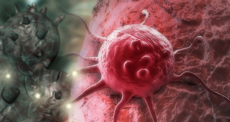 Picture 2 of Getting cancer cells to self-destruct - breakthrough in treatment of the problem of the century