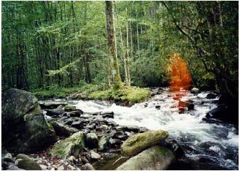 Ghost images of the world famous images 5