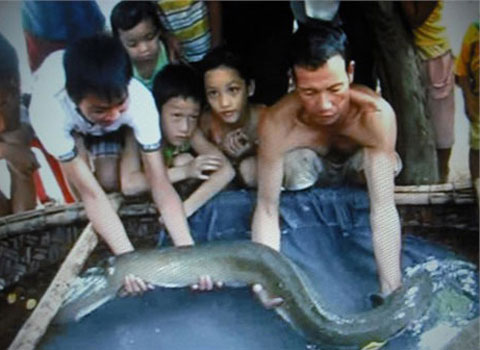 Picture 5 of Giant animals in Vietnam