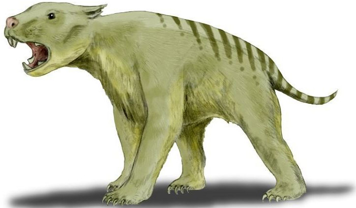 Giant beasts that once dominated Australia in prehistoric times