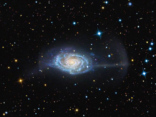 Picture 5 of Giant carnivores in the universe