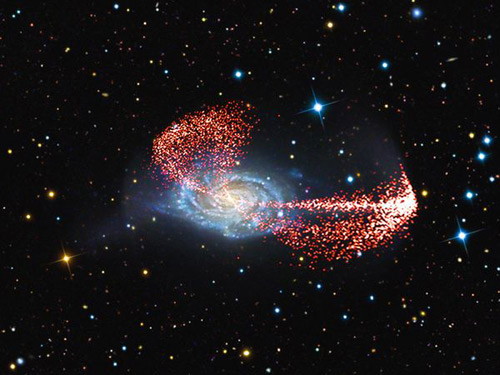 Picture 6 of Giant carnivores in the universe