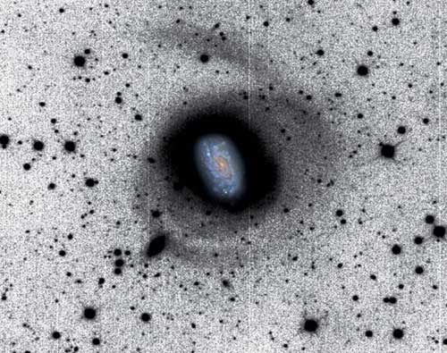 Picture 7 of Giant carnivores in the universe