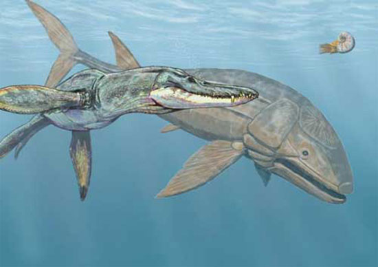 Giant fish of dinosaurs