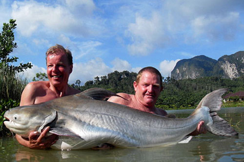 Picture 8 of Giant fish of the Mekong River