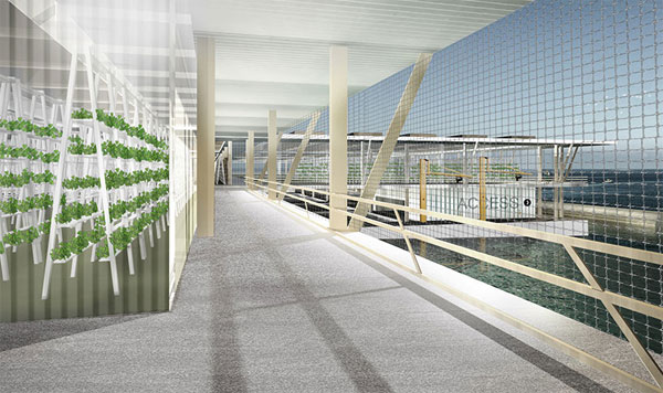 Picture 3 of Giant floating farms grow vegetables with sea water