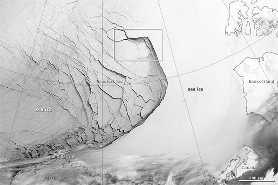 Picture 1 of Giant ice breaks 1,000km long in the Beaufort Sea