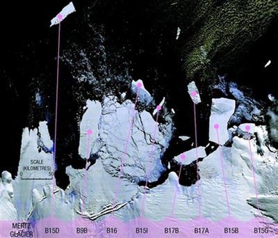 Picture 1 of Giant icebergs move towards Australia