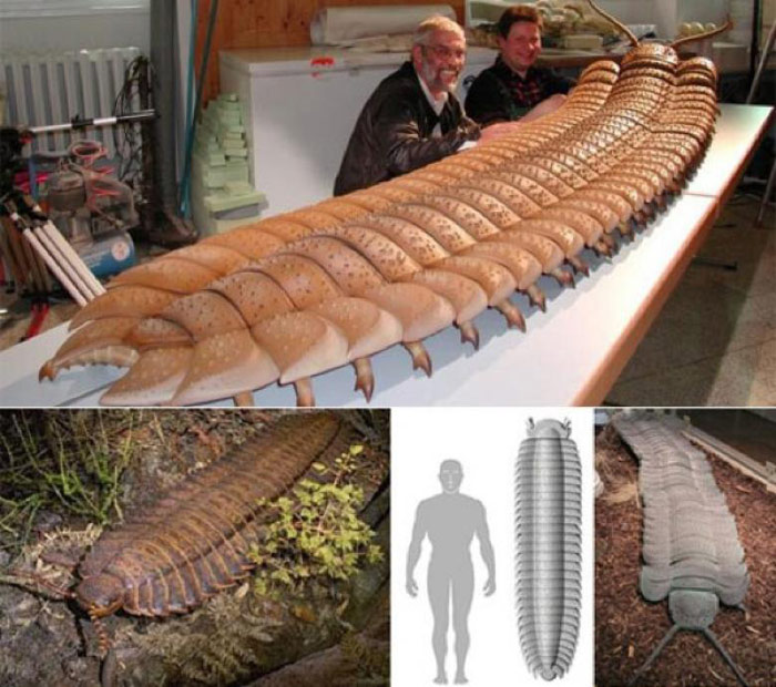 Picture 7 of Giant prehistoric beasts