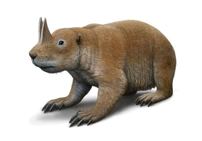 Picture 9 of Giant prehistoric beasts