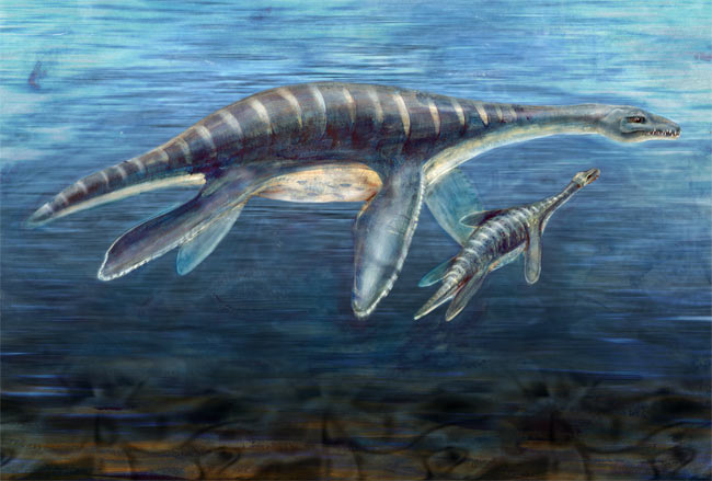 Picture 1 of Giant reptiles used to be the food of ancient sharks