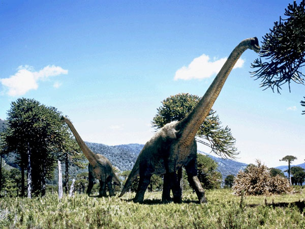 Picture 3 of Giant size of dinosaurs