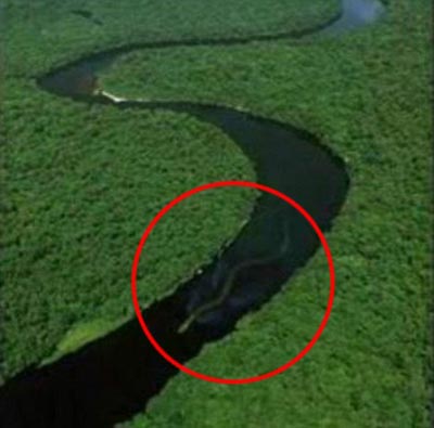 Picture 1 of Giant snakes appear in Malaysia?