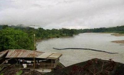 Picture 2 of Giant snakes appear in Malaysia?
